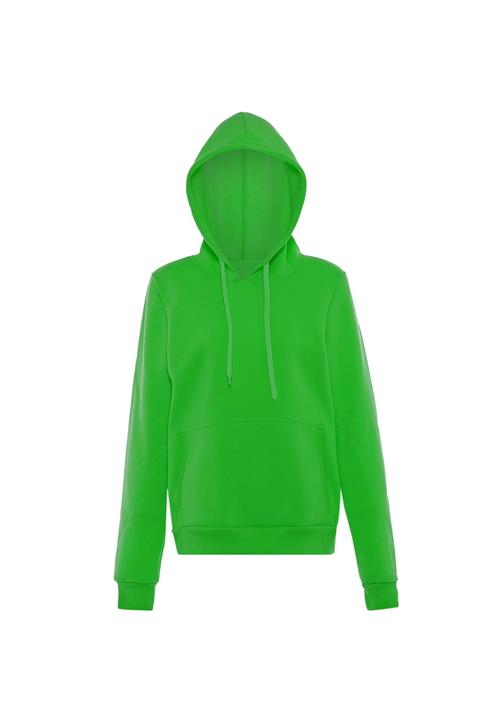 NALLY Sweatshirt  kiwi