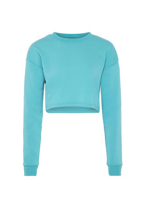 NALLY Sweatshirt  turkis