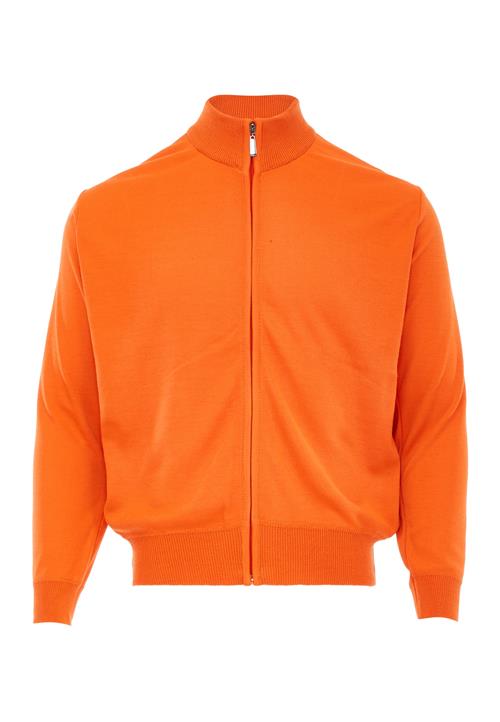 NALLY Cardigan  orange