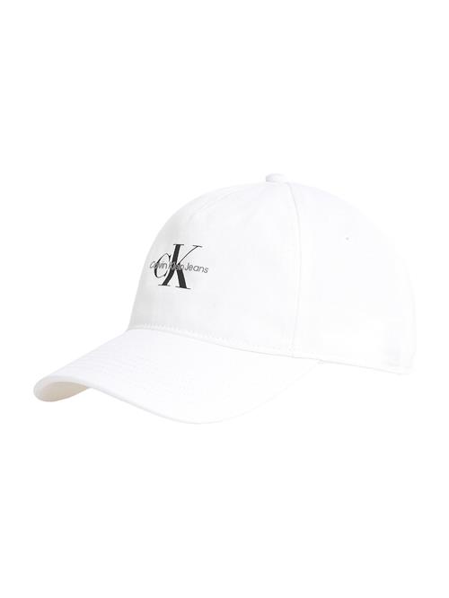 Calvin Klein Jeans Hætte  grå / sort / hvid