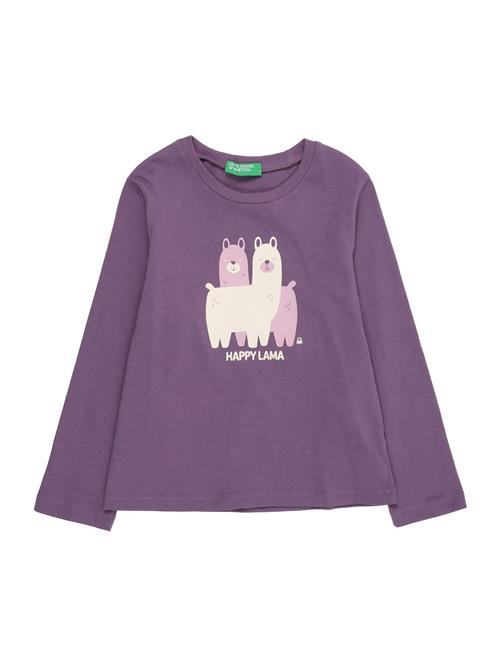UNITED COLORS OF BENETTON Bluser & t-shirts  lilla / blomme / hvid