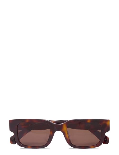 Leon Tortoise Brown Corlin Eyewear Brown