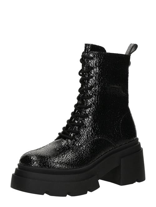 STEVE MADDEN Snørestøvletter 'Tossup'  sort