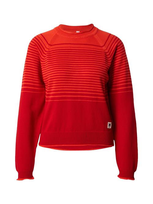 Blutsgeschwister Pullover 'Marvellous Minds'  orange / rød