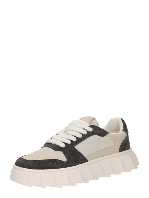 Apple of Eden Sneaker low 'LONDON'  mørkegrå / offwhite