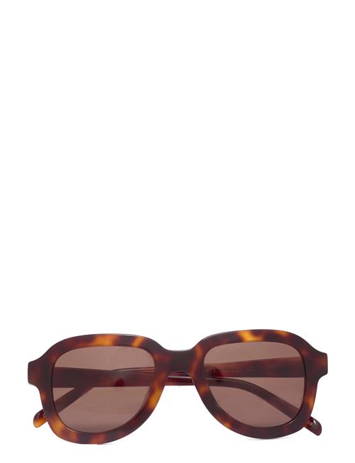 Pascal Tortoise Brown Corlin Eyewear Brown