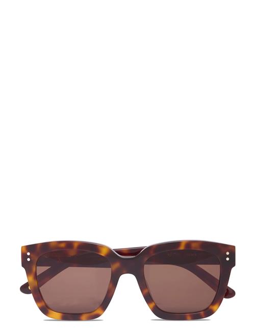 Modena Tortoise Brown Corlin Eyewear Brown