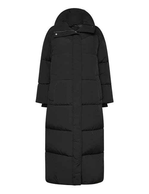 C_Pyrani BOSS Black