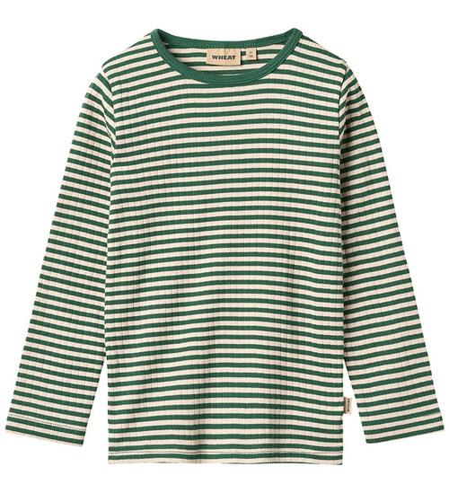 Wheat Bluse - Rib - Stig - Green Stripe