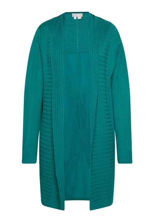 Usha Cardigan 'Sivene'  smaragd
