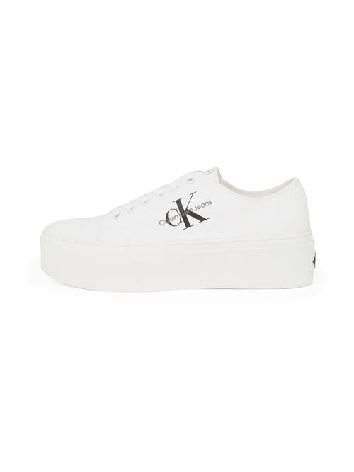 Calvin Klein Jeans Sneaker low  sort / hvid