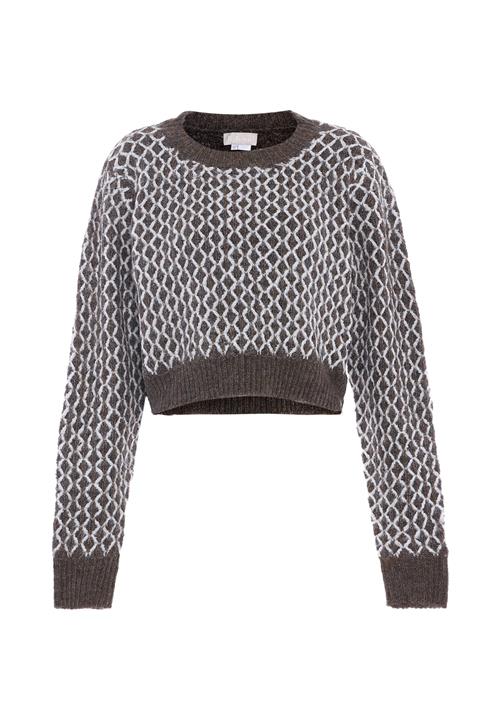 Se Jalene Pullover  mørkegrå / hvid ved About You