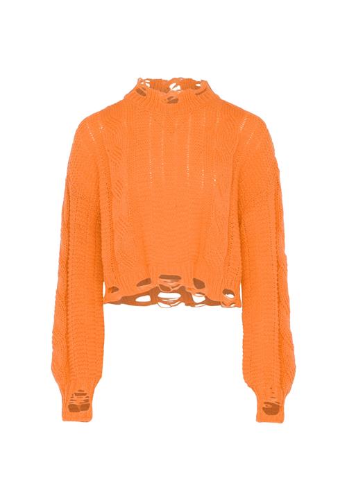 Gaya Pullover  orange