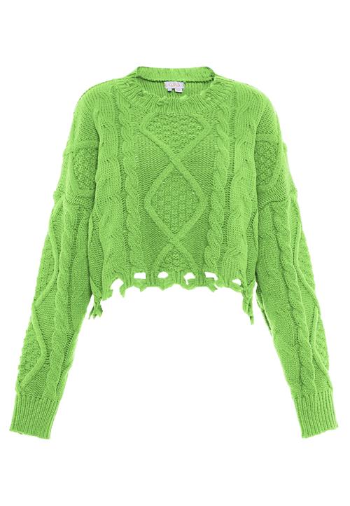 Gaya Pullover  lime