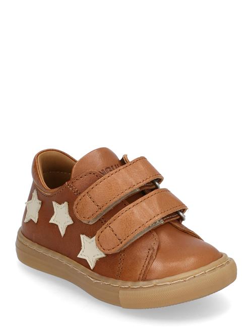 Shoes - Flat - With Velcro ANGULUS Brown