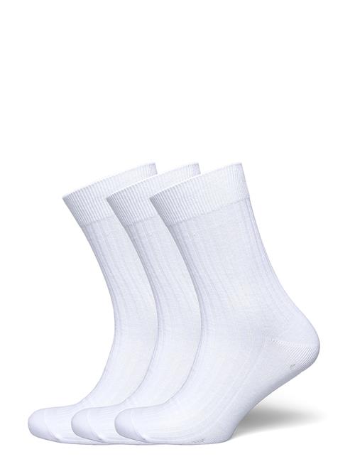 Cotton Rib Socks 3-Pack Weekday White