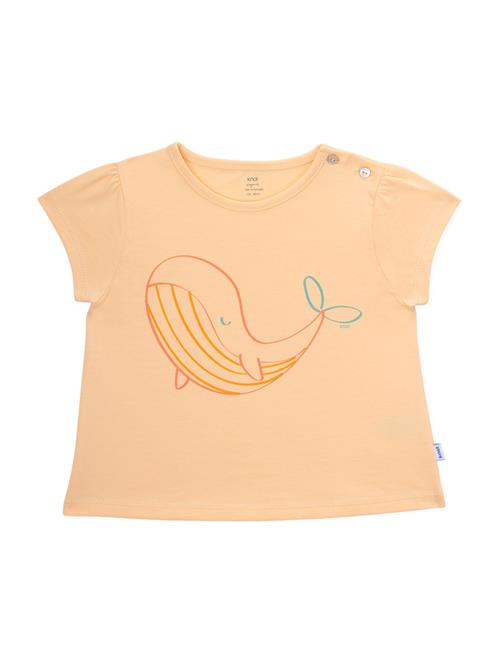 KNOT Bluser & t-shirts  røgblå / abrikos / mørkeorange