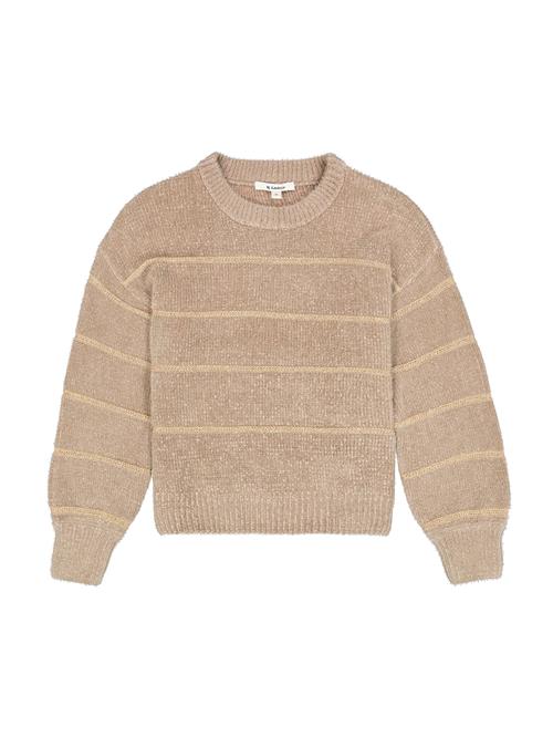GARCIA Pullover  lysebeige / taupe