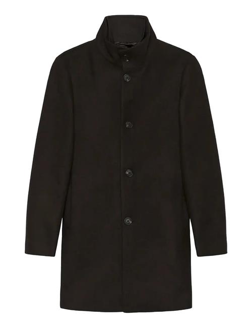 Marobert Matinique Brown