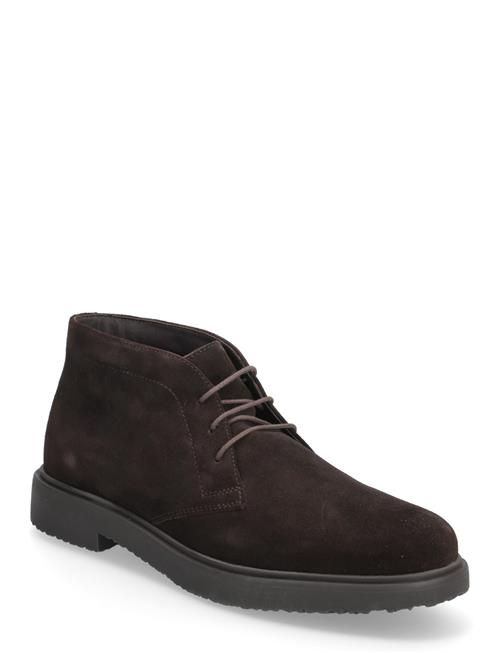 U Massimiano A GEOX Brown