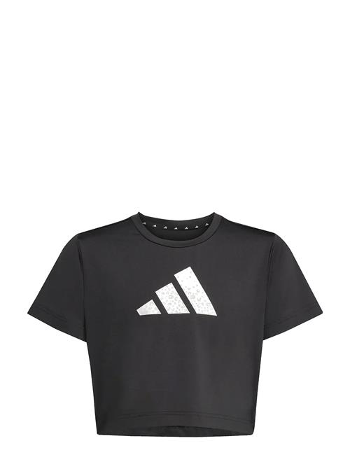 Jg Tr-Es Gl Tee Adidas Sportswear Black