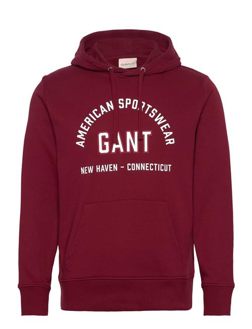 Printed Graphic Hoodie GANT Burgundy