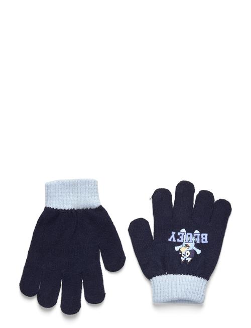 Gloves Bluey Grey