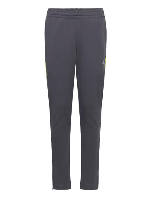 Individualliga Training Pants Jr PUMA Grey
