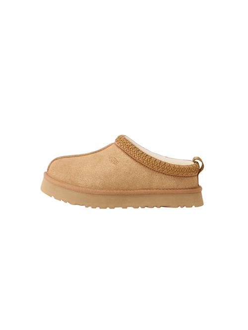 UGG Støvler 'TAZZ DAZZLE'  lysebrun