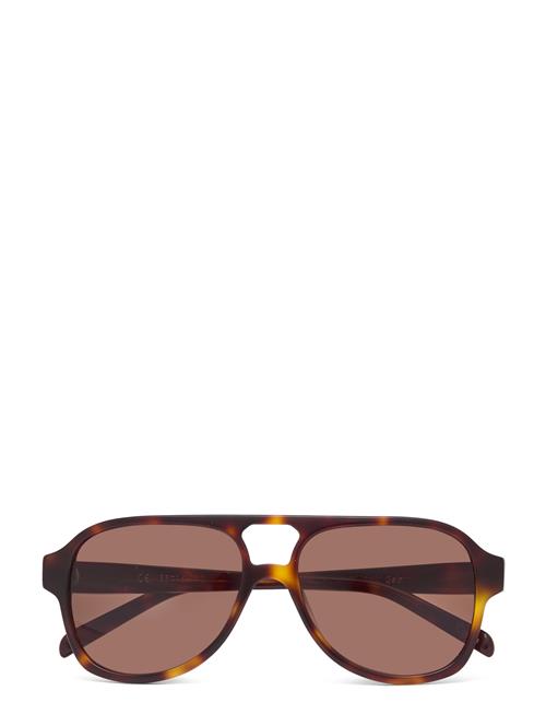 Gelo Corlin Eyewear Brown
