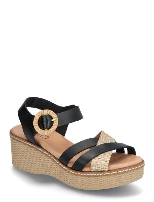 Flora Dasia Black