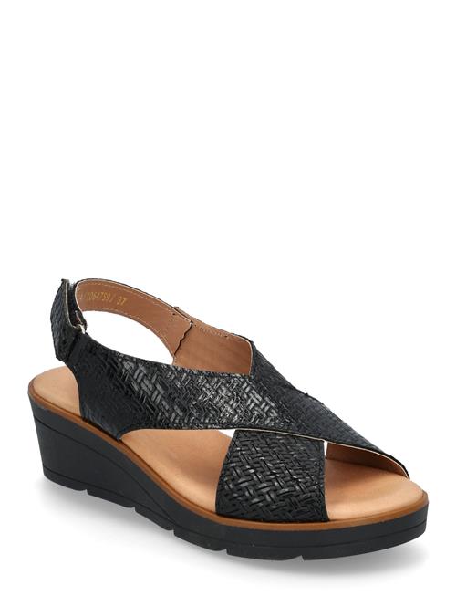 Ivy Dasia Black