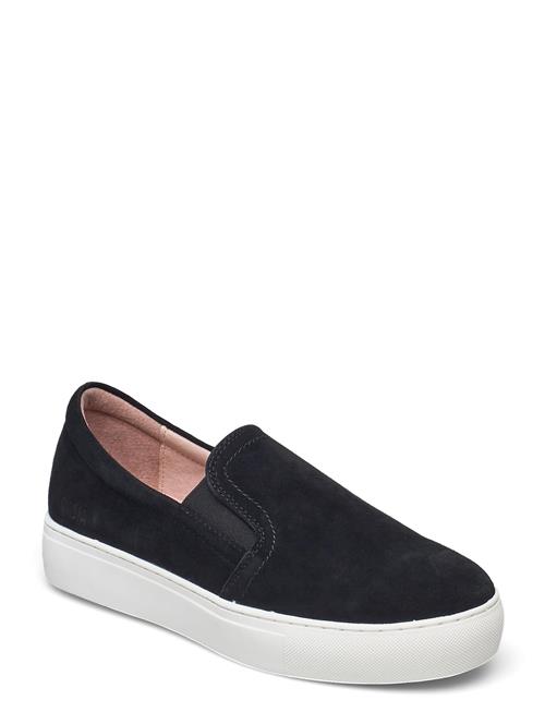 Starlily Dasia Black