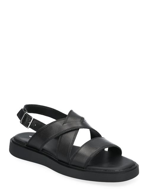 Connie VAGABOND Black