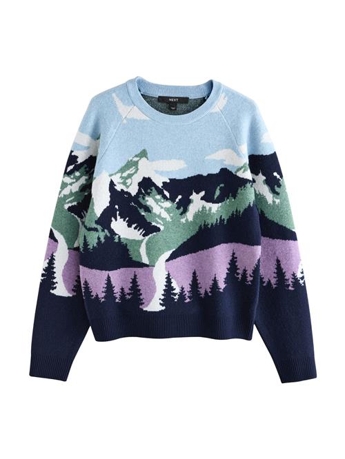 Next Pullover  marin / lyseblå / grøn / lilla
