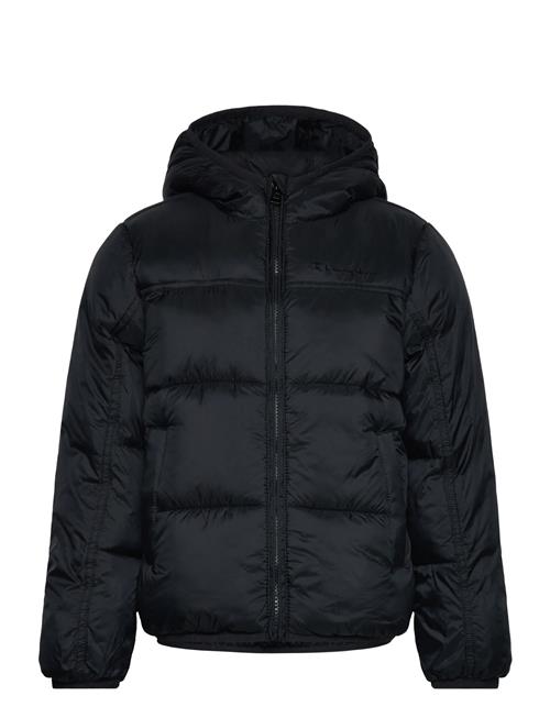 Hooded Jacket Champion Black