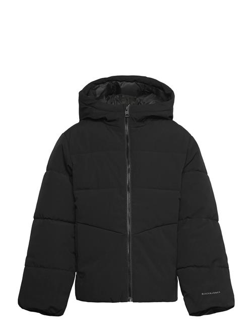 Jack & Jones Jjglobal Puffer Jacket Mni Jack & J S Black