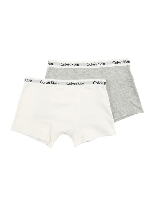 Calvin Klein Underwear Underbukser  grå-meleret / hvid