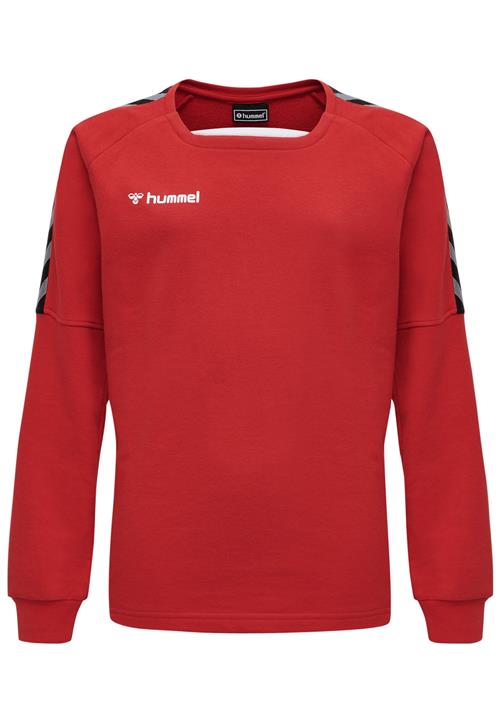 Hummel Sportsweatshirt 'Authentic'  grå / burgunder / sort / hvid