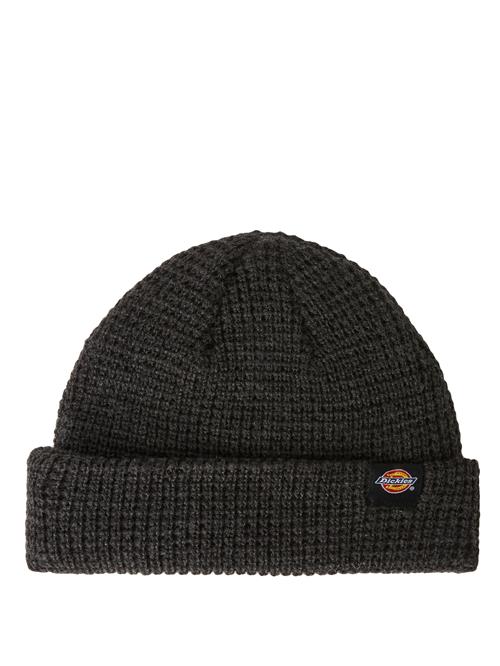 DICKIES Hue  blå / gul / rød / sort / hvid
