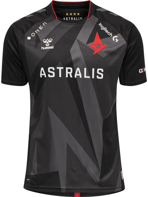 Hummel Funktionsskjorte 'ASTRALIS 20/21'  grå / rød / sort / hvid