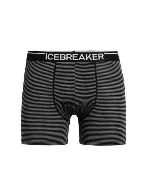 ICEBREAKER Sportsunderbukser 'Anatomica'  grå