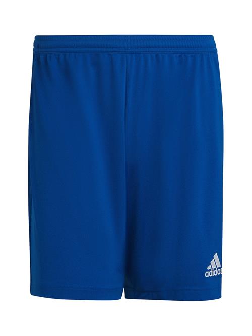 ADIDAS PERFORMANCE Sportsbukser 'Entrada 22'  blå / hvid
