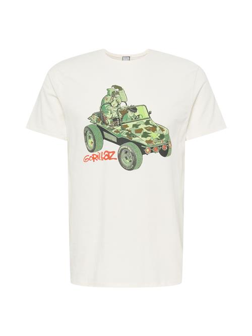 AMPLIFIED Bluser & t-shirts  grøn / oliven / rød / sort / hvid
