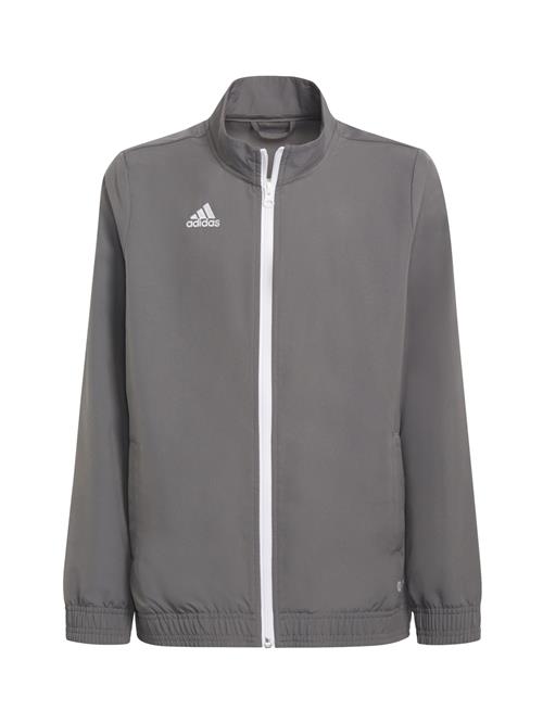 ADIDAS PERFORMANCE Sportsjakke 'Entrada 22 Presentation'  grå / hvid