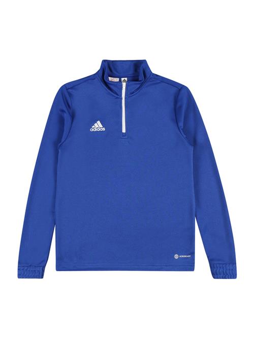 ADIDAS PERFORMANCE Sportsweatshirt 'Entrada 22'  blå / hvid