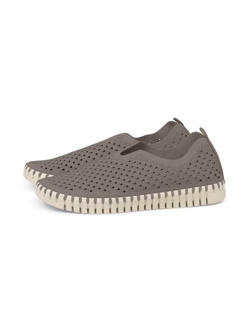 ILSE JACOBSEN Slip On 'Tulip3275'  grå