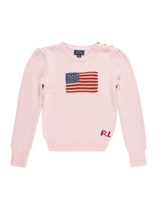 Polo Ralph Lauren Pullover  navy / brun / lyserød / rød