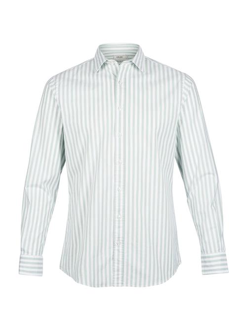 Shiwi Skjorte 'Orlando'  pastelgrøn / offwhite