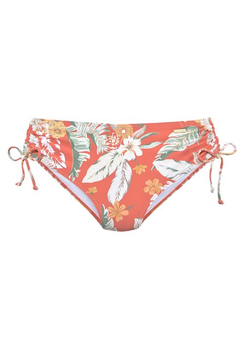 SUNSEEKER Bikinitrusse  blandingsfarvet / orange